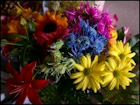 Flowers - Image 2