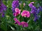 Flower Jigsaw Puzzles - Image 3